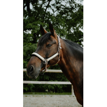 Capezzina Equithème Glowy Beige / dorato
