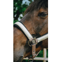 Capezzina Equithème Glowy Nero / nero
