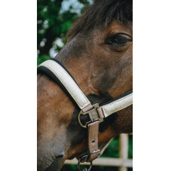 Capezzina Equithème Glowy Beige / dorato