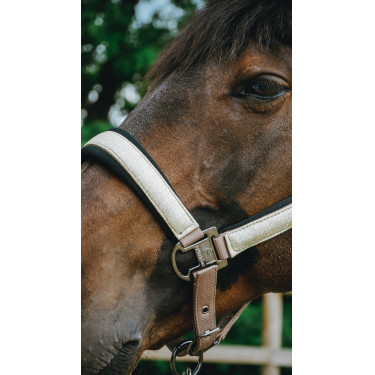 Capezzina Equithème Glowy Beige / dorato