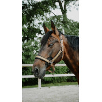 Capezzina Equithème Glowy Nero / nero