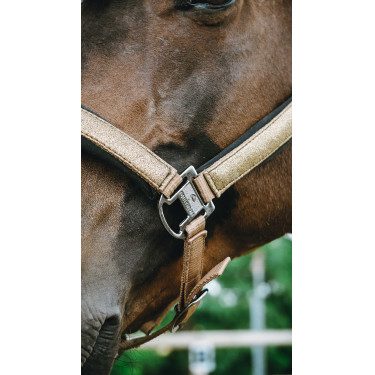 Capezzina Equithème Glowy Beige / rame