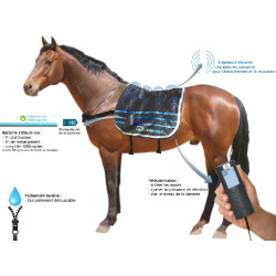 E.Ziback M1 Tappeto massaggiante vibrante per cavalli E.Ziback M1 Tappeto massaggiante vibrante per cavalli