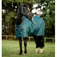 Coperta Horseware Amigo Ripstop 900D Turnout 100g Nero / blu classico