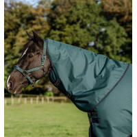 Copricollo Horseware Amigo Ripstop 900D Turnout Hood 150g Verde dinastia / blu marine / argento