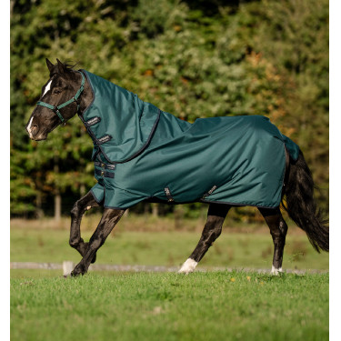 Coperta Amigo Ripstop Horseware 900D Plus Turnout 200g Verde dinastia / blu marine / argento Coperta Amigo Ripstop Horseware 900D Plus Turnout 200g Verde dinastia / blu marine / argento
