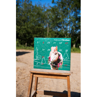 Calendario dell’Avvento Natural'Christmas Gourmet 2025 Natural'Innov