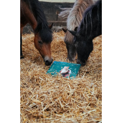 Calendario dell’Avvento Natural'Christmas Gourmet 2025 Natural'Innov