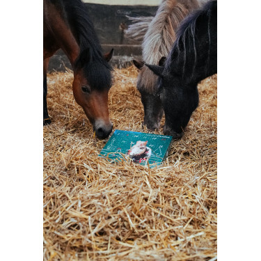 Calendario dell’Avvento Natural'Christmas Gourmet 2025 Natural'Innov