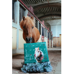 Calendario dell’Avvento Natural'Christmas Gourmet 2025 Natural'Innov