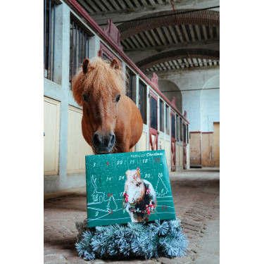 Calendario dell’Avvento Natural'Christmas Gourmet 2025 Natural'Innov