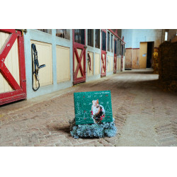 Calendario dell’Avvento Natural'Christmas Gourmet 2025 Natural'Innov