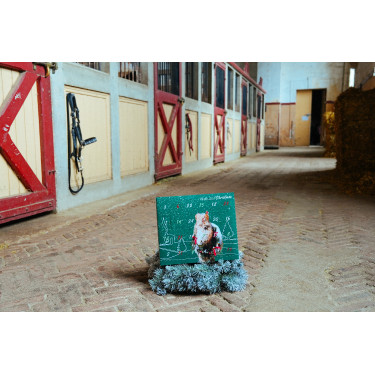 Calendario dell’Avvento Natural'Christmas Gourmet 2025 Natural'Innov