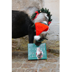 Calendario dell’Avvento Natural'Christmas Gourmet 2025 Natural'Innov