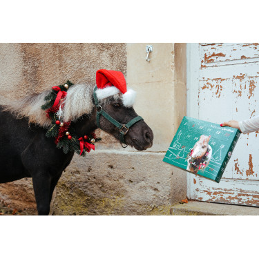 Calendario dell’Avvento Natural'Christmas Gourmet 2025 Natural'Innov