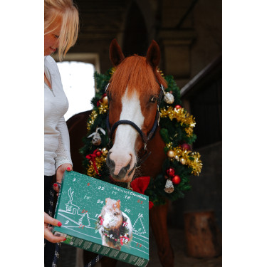 Calendario dell’Avvento Natural'Christmas Gourmet 2025 Natural'Innov