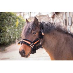 Capezzina Pénélope Soft Nero Capezzina Pénélope Soft Nero