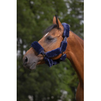 Set per cavezza Equithème Teddy Blu navy