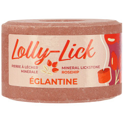 Pietra di sale Hippotonic Lolly-Lick Eglantina