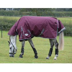Coperta Weatherbeeta ComFiTec Plus Dynamic II Combo Neck Medium Lite Bordeaux / grigio / bianco Coperta Weatherbeeta ComFiTec Plus Dynamic II Combo Neck Medium Lite Bordeaux / grigio / bianco