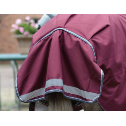 Coperta Weatherbeeta ComFiTec Plus Dynamic II Combo Neck Medium Lite Bordeaux / grigio / bianco Coperta Weatherbeeta ComFiTec Plus Dynamic II Combo Neck Medium Lite Bordeaux / grigio / bianco