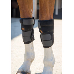 Stinchiere terapeutiche per tendini Arma Shires Nero