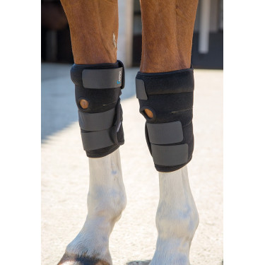 Stinchiere terapeutiche per tendini Arma Shires Nero