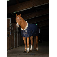 Camicia mesh Equithème Teddy Blu navy Camicia mesh Equithème Teddy Blu navy