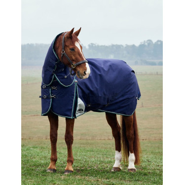 Coperta Weatherbeeta ComFiTec Dynamic Turnout 220g con collo staccabile Blu marino / verde foresta Coperta Weatherbeeta ComFiTec Dynamic Turnout 220g con collo staccabile Blu marino / verde foresta