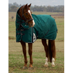 Coperta Weatherbeeta ComFiTec Dynamic Turnout 220g con collo staccabile Verde foresta / blu navy