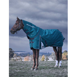 Coperta Weatherbeeta ComFiTec Dynamic Turnout 220g con collo staccabile Verde foresta / blu navy
