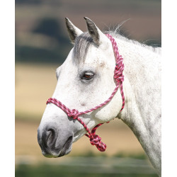 Capestro etologico Shires Rosa / nero