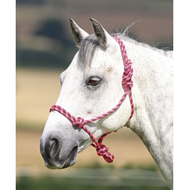 Capestro etologico Shires Rosa / nero