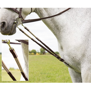 Enrênement Harbridge Shires Marron
