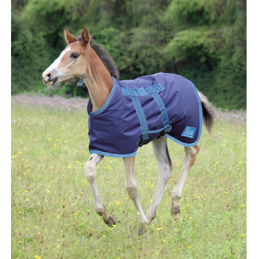 Coperta per puledro Tempest Shires Marina / turchese Blu Coperta per puledro Tempest Shires Marina / turchese Blu