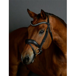 Briglia da dressage Collegiate ComFiTec Opulux imbottita Nero