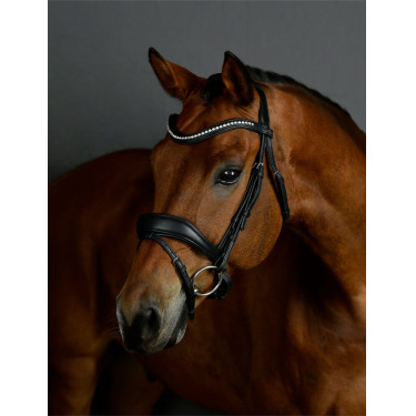 Briglia da dressage Collegiate ComFiTec Opulux imbottita Nero