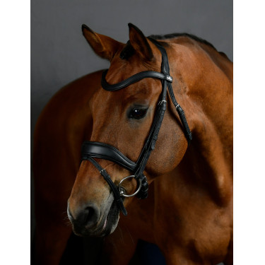 Briglia da dressage Collegiate ComFiTec Opulux imbottita Nero Briglia da dressage Collegiate ComFiTec Opulux imbottita Nero