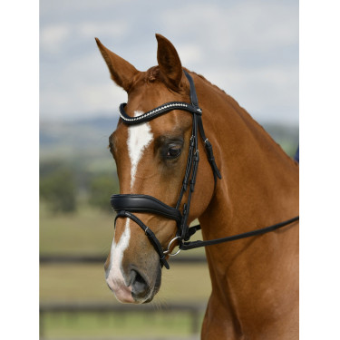 Briglia da dressage Collegiate ComFiTec Opulux imbottita Nero Briglia da dressage Collegiate ComFiTec Opulux imbottita Nero