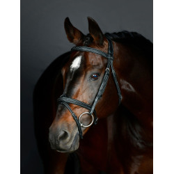 Briglia hanoveriana Collegiate imbottita ComFiTec Opulux Fancy Stitch Nero