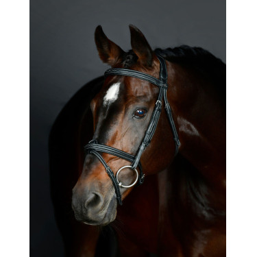 Briglia hanoveriana Collegiate imbottita ComFiTec Opulux Fancy Stitch Nero
