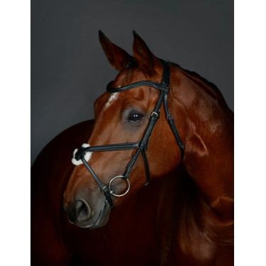 Briglia con capezzina incrociata Collegiate ComFiTec Opulux imbottita Nero Briglia con capezzina incrociata Collegiate ComFiTec Opulux imbottita Nero