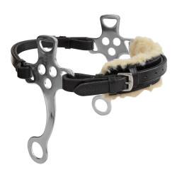 Hackamore Blenheim Shires