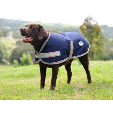 Coperta per cane Weatherbeeta ComFiTec Essential Blu navy / argento / rosso Coperta per cane Weatherbeeta ComFiTec Essential Blu navy / argento / rosso