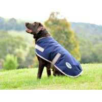 Coperta per cane Weatherbeeta ComFiTec Essential Blu navy / argento / rosso Coperta per cane Weatherbeeta ComFiTec Essential Blu navy / argento / rosso