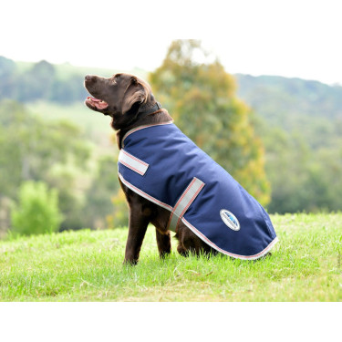 Coperta per cane Weatherbeeta ComFiTec Essential Blu navy / argento / rosso Coperta per cane Weatherbeeta ComFiTec Essential Blu navy / argento / rosso