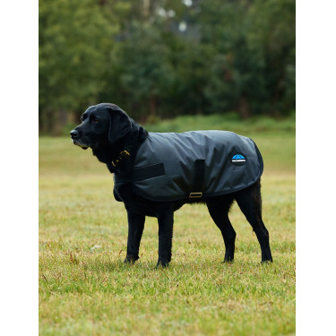Coperta impermeabile per cane Weatherbeeta ComFiTec Classic Carbone di legna Grigio Coperta impermeabile per cane Weatherbeeta ComFiTec Classic Carbone di legna Grigio