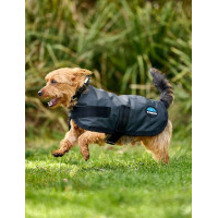Coperta impermeabile per cane Weatherbeeta ComFiTec Classic Carbone di legna Grigio Coperta impermeabile per cane Weatherbeeta ComFiTec Classic Carbone di legna Grigio