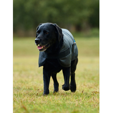 Coperta impermeabile per cane Weatherbeeta ComFiTec Classic Carbone di legna Grigio Coperta impermeabile per cane Weatherbeeta ComFiTec Classic Carbone di legna Grigio