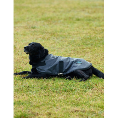 Coperta impermeabile per cane Weatherbeeta ComFiTec Classic Carbone di legna Grigio Coperta impermeabile per cane Weatherbeeta ComFiTec Classic Carbone di legna Grigio